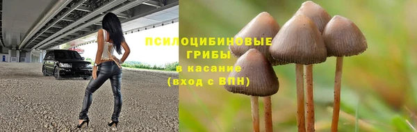 дмт Вязьма