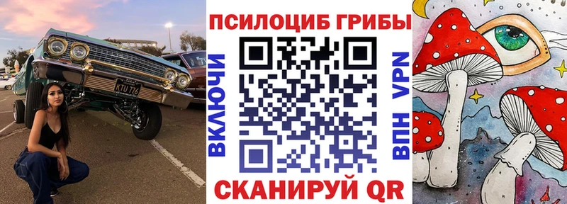 Псилоцибиновые грибы Magic Shrooms купить Волгодонск